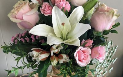 Taking Care of your Fresh cuts