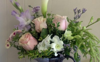 Calgary Stampede Give Away